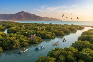 Scenic view of Kalba Mangrove Reserve, beaches, and mountain landscapes on Sharjah's east coast.